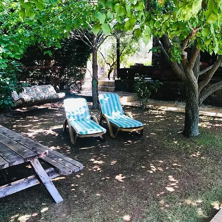 Charming In Phokai فيلة *