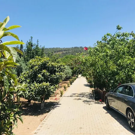 Charming In Phokai فيلة *